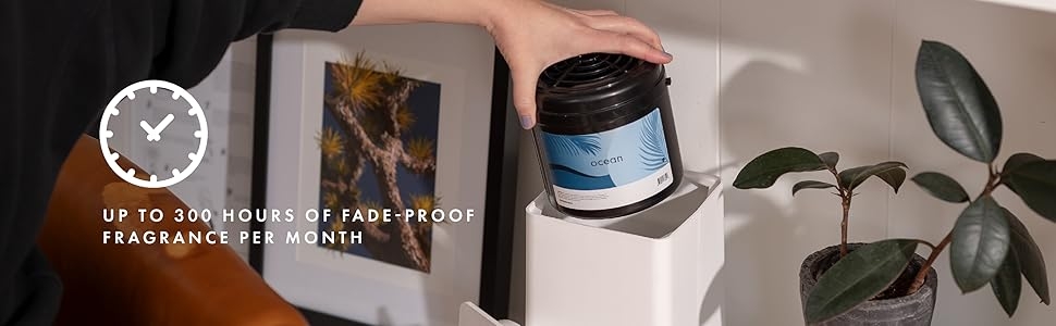 Up to 300 hours of fade-proof fragrance per month