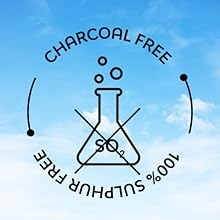 Incense-module3-Charcoalfree
