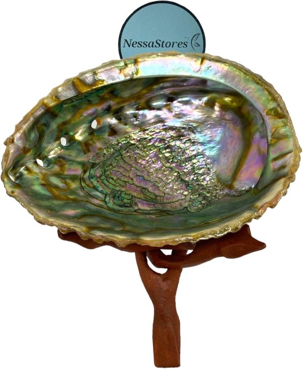 2 pc | Abalone Shell 6"-7" Inches & Tripod Stand 6 Inches | Beautiful All Natural Smudge Bowl - Perfect for Smudge Sticks, Incense Sticks and a Sage Smudge Kit. JC-213-B