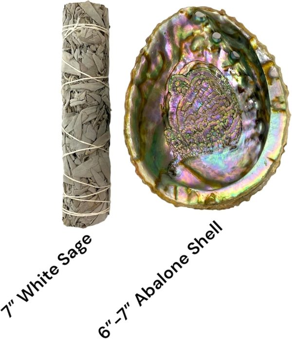 2 pc | Abalone Shell 6"-7" Inches & Tripod Stand 6 Inches | Beautiful All Natural Smudge Bowl - Perfect for Smudge Sticks, Incense Sticks and a Sage Smudge Kit. JC-213-B - Image 6