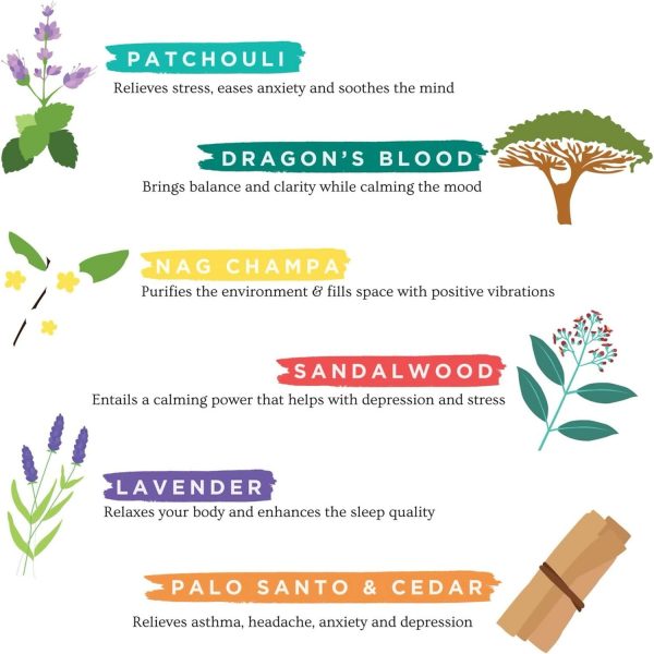 Folkulture Incense Sticks - Set of 6 Incenses (120 Sticks) for Relaxation - Balsam Cedarwood, Jasmine, White Woods & Oud, Ocean Salt, Pumpkin Spice, Peppermint - Valentine Gift Set for her - Image 41